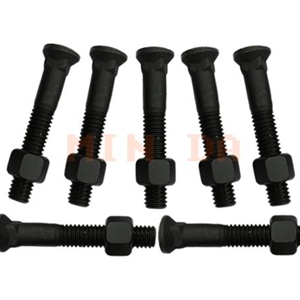 Plow Bolt & Nut